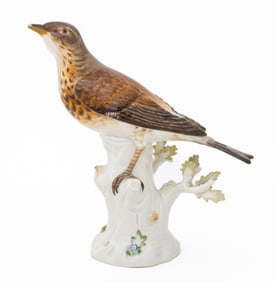 Meissen Porcelain Model of a Thrush, 19th C.