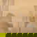 item-204525761=10