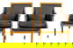 item-206107556=2