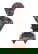 item-206107624=1