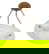 item-206107646=4