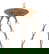item-206107646=5