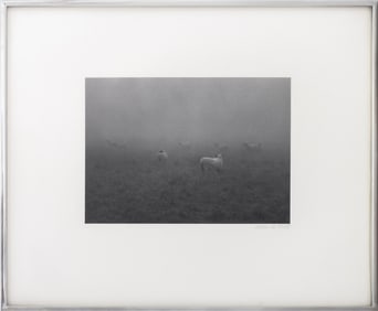 George Tice "Sheep in Fog, Lancaster" Silver Print