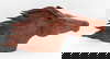 item-206689557=5