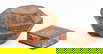 item-206689604=1