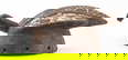 item-206689676=3