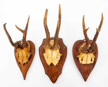 Roebuck Antler Mounts, 3