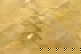 item-207323053=5