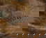 item-207323082=5
