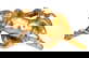 item-207323217=3