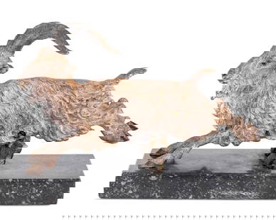 Austrian Cold Painted Bronze Billy Goat: Austrian Cold Painted Bronze Model of a Billy Goat, early 20th century, realistically modeled and articulated jumping a stile on a black marble base. 5" H x 5.5" W x 6" D. Keywords: Austrian Bronzes,