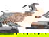 item-208870472=3