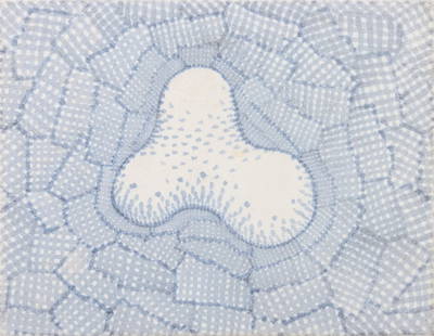 Saku Abstract Composition Marker on Paper, 2002: Saku (XX-XXI), Abstract Pattern Composition, Marker on Paper, 2002, signed and dated lower right, stretched over board and unframed. 5.5" H x 7.25" W. Provenance: From a Brooklyn Collection. Keywords: