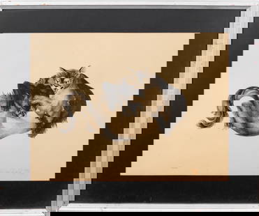 Hideo Date Fighting Cats Serigraph: Hideo Date (Japanese, 1907-2005), Fighting Cats, Serigraph on Toned Paper, numbered edition "102/120" lower left, signed and with artist's chop seal lower right, silvered wood frame. Image: 17.5" H x