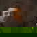 item-208961834=11