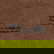 item-210008483=6