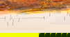 item-210008492=4