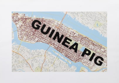 Stefano Cagol "Guinea Pig" Inkjet Print, 2008