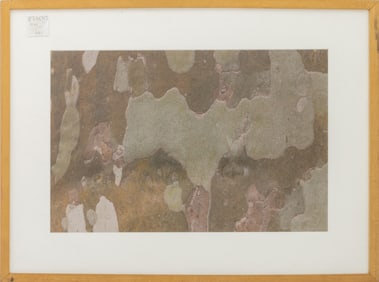 Evelyn H. Lauder "Bark of Plane Tree I..." C-Print