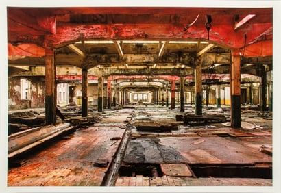 Raymond Ciborowski "Viscosa Pink" Print, 2011