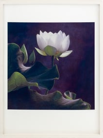 Cy DeCosse "White Lotus" Gum Bichromate Print