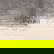 item-210008779=4
