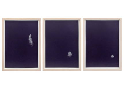 Sharon Louden "Tangled Tip" Ink on Paper, 3: Sharon Louden (American, b. 1964), Three "Tangled Tip (Line from Zion)", Ink on Key Color Paper, 2000, apparently unsigned, white painted wood frames. Each image: 16" H x 11.5" W; frame: 18.25" H x
