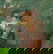 item-210722322=3