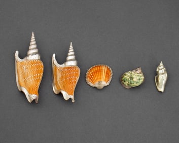 Il Mastro Argentiere Italian Silvered Shells, 5