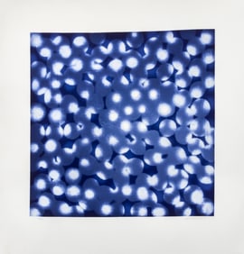 Ross Bleckner "Chaperone" Etching and Aquatint