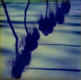 Illegibly Signed Abstract Color Photograph, 2002