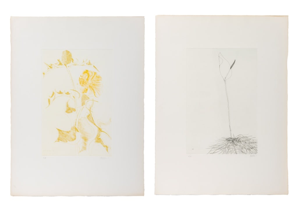 Leonard Baskin Botanical Etchings, 2 (1 of 11)