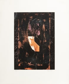 Anne Sager Flypaper Street Photography C-Print