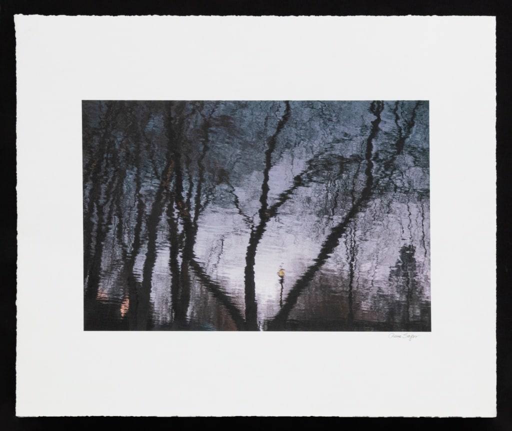 Anne Sager City Park Reflection Digital Iris Print (1 of 7)