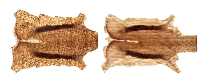 Animal Hide Rugs, 2