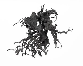 Chakaia Booker Abstract Hanging Sculpture, 2008
