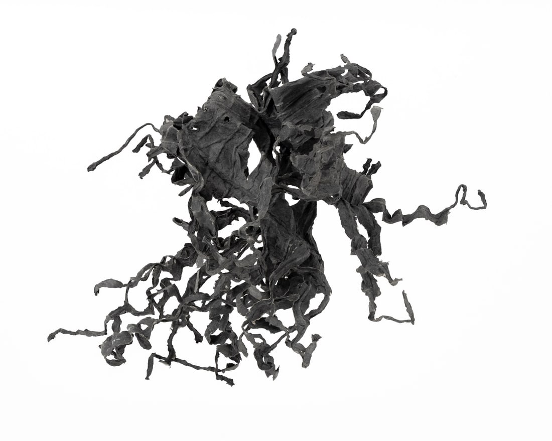 Chakaia Booker Abstract Hanging Sculpture, 2008 (1 of 13)