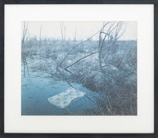 Alec Soth "Helena, Arkansas" Chromogenic Print