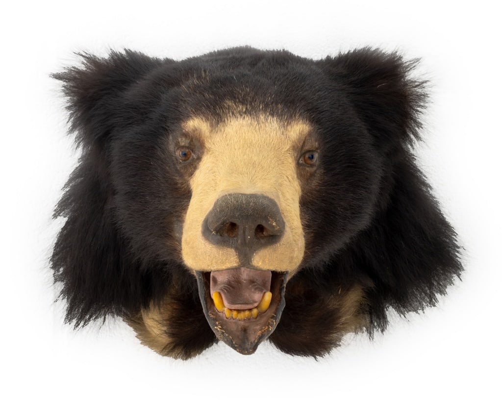 Blanc de Chine Figure on Horseback Sculpture (1 of 7)