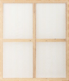 Peter C. Peterson "Cellphone Accident Surprise 1"