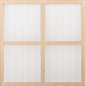 Peter C. Peterson "Cellphone Accident Surprise 2"