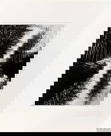 Brett Weston "Holland Canal" Gelatin Silver Print: Brett Weston (American, 1911-1993), "Holland Canal", Gelatin Silver Print, 1973, signed and dated lower right, silver-tone metal frame. Image: 13.75" H x 10.5" W; frame: 22.25" H x 18.25" W x 1.5" D.