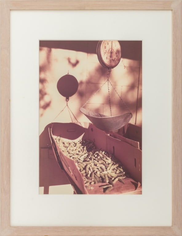 William Eggleston Okra Scale Dye Transfer Print (1 of 13)