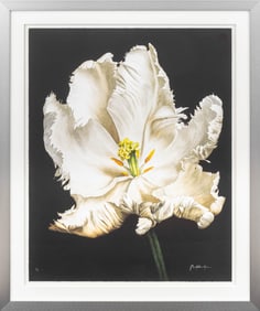 John Matthew Moore Madonna Tulipa Lithograph