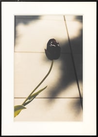 Evelyn Lauder "Quiet Tulip" Chromogenic Print