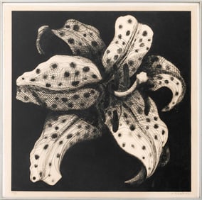 Lowell Nesbitt "Lily" Drypoint Etching, 1975