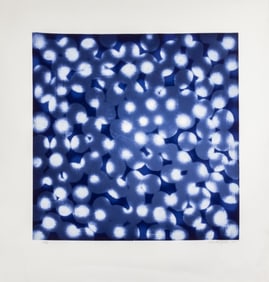 Ross Bleckner "Chaperone" Etching and Aquatint