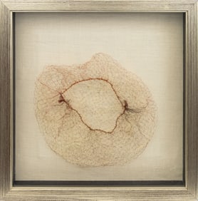 Susie MacMurray "Echo" Found Object Sculpture