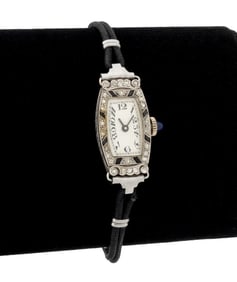 Platinum Diamond Synthetic Sapphire Watch