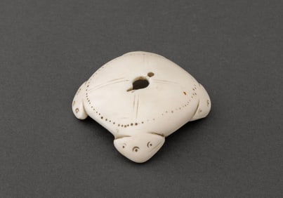 Oceanic Carved Yua Shell